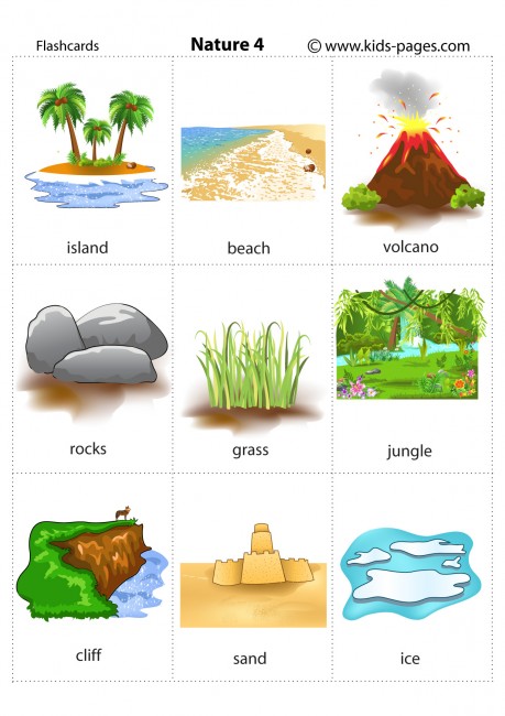 Nature 4 flashcard